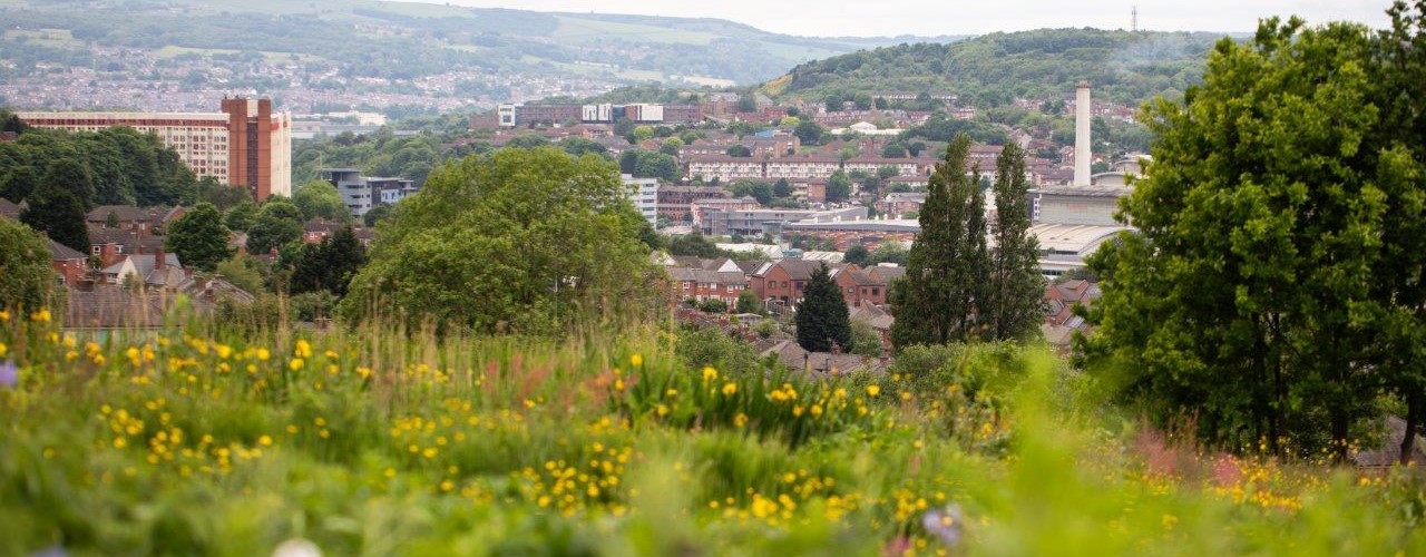 Green countryside with views of the city
