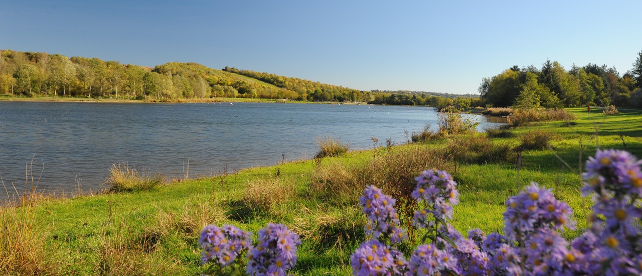 Rotherham green countryside with river